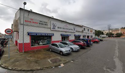 Advance Todo Para Su Mascota