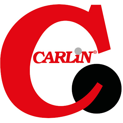 CARLIN BERMEJALES