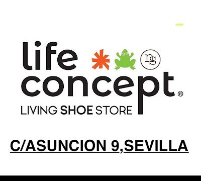 El naturalista & Art Tienda LifeConcept Sevilla