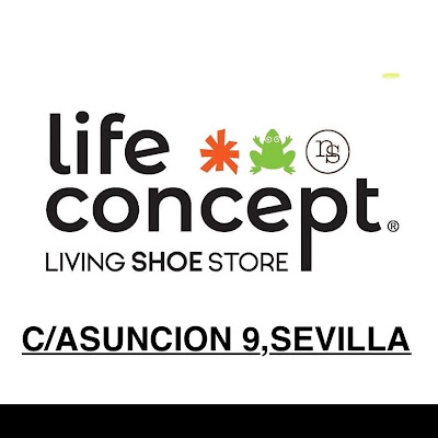 El naturalista & Art Tienda LifeConcept Sevilla