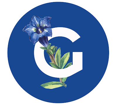Farmacia Genciana 33