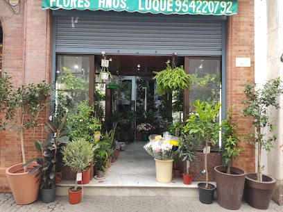 Hermanos Luque Floristería