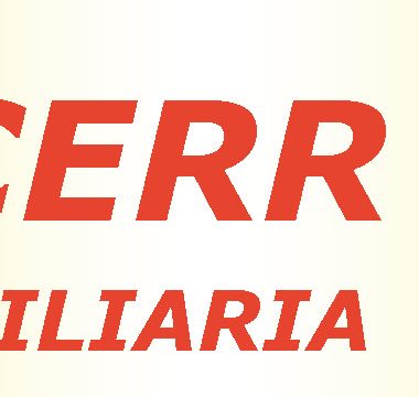 Inmobiliaria Sacerr
