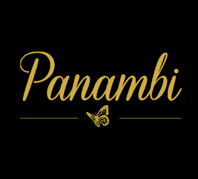 Panambi