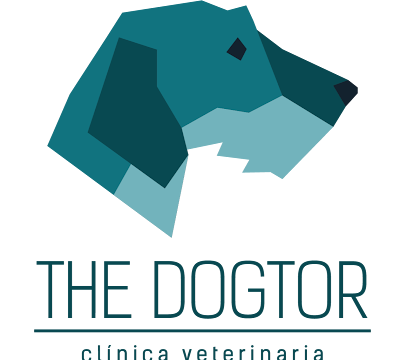 The Dogtor Clínica Veterinaria