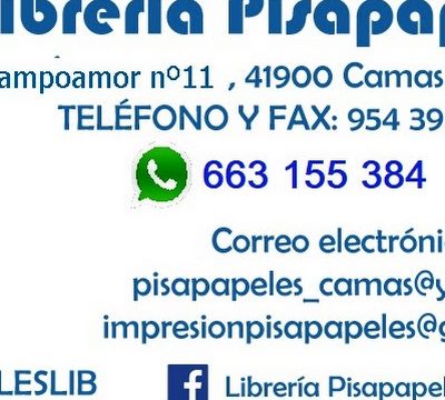 Librería Pisapapeles