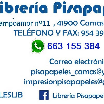 Librería Pisapapeles