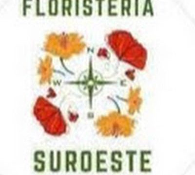 Floristería Nervion Suroeste