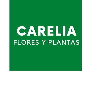 Floristería en Sevilla Carelia