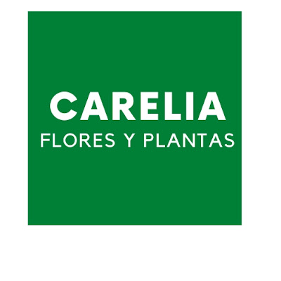 Floristería en Sevilla Carelia