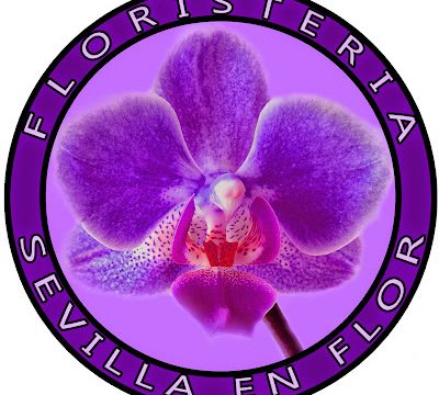 FLORISTERIA SEVILLA IN FLOWER