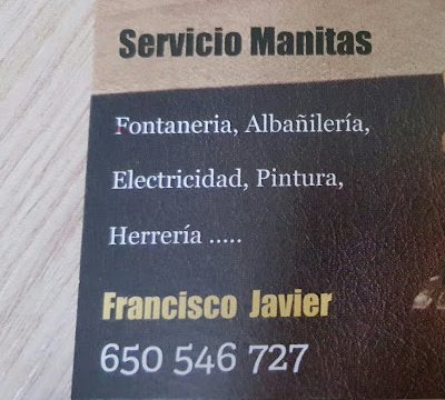 Servicios manitas