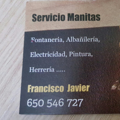 Servicios manitas