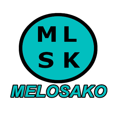 Autoescuela Melosako